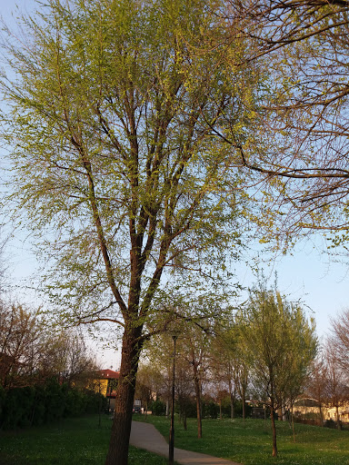 Parco Della Concordia - Thumbnail