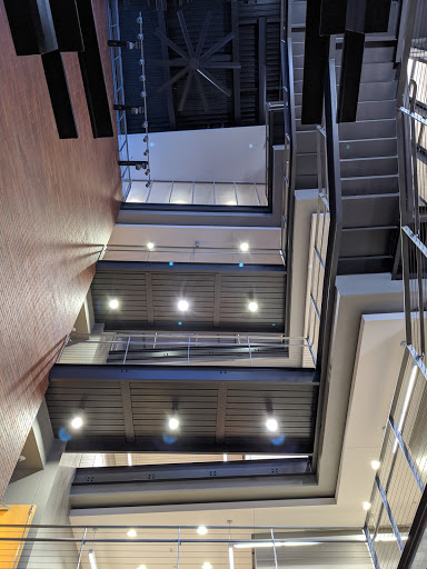 STEPS - Visual