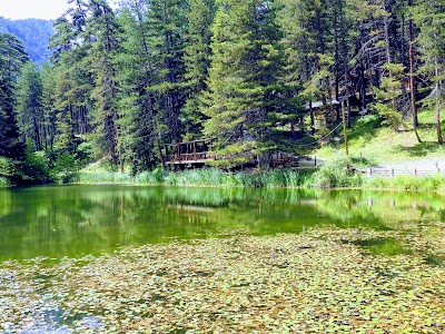 Dipsizgöl Nature Park