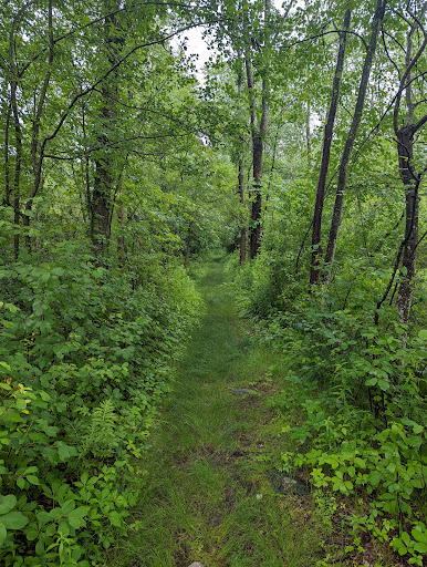 Juniper Hill - Visual