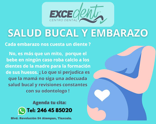 Exedent - Visual
