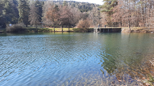 Haselweiher - Visual