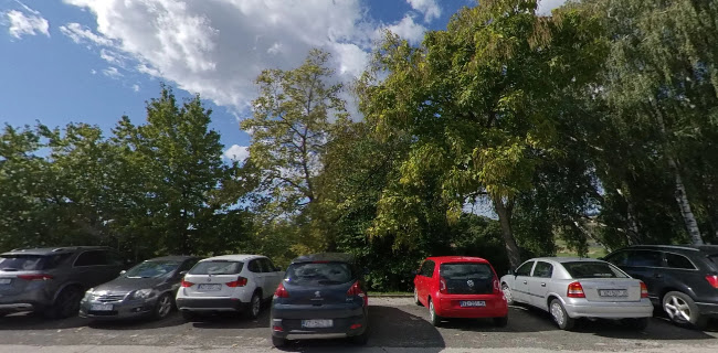 Restoran Črn-Bel - Restoran