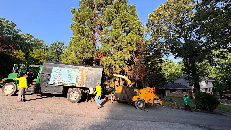 Resurgens Tree Service