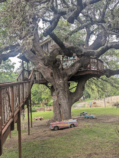 The Laurel Tree - Visual