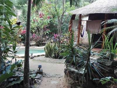 Photos of La Selva Mariposa