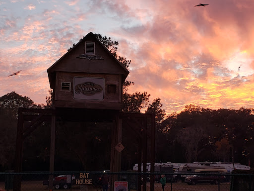 Bat House - Visual