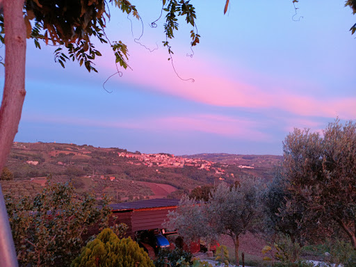 Agriturismo Nonna Cecilia - Thumbnail