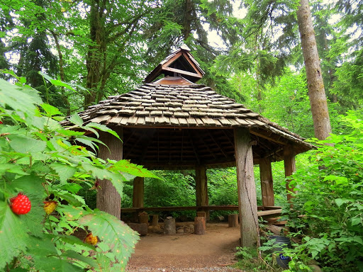 Alderleaf Wilderness College - Thumbnail