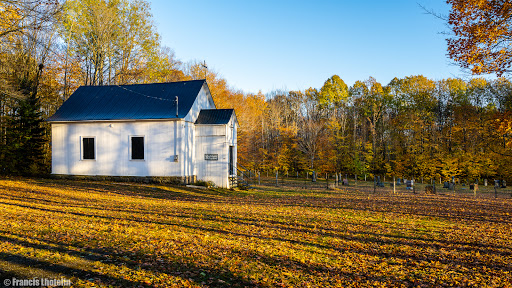 St.John The Baptist In The Wilderness, Kilkenny Gallery - Canada