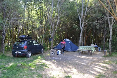 Photos of Camping Delta Del Azul