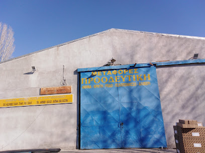 ΠΡΟΟΔΕΥΤΙΚΗ ΜΕΤΑΦΟΡΕΣ ΘΕΣΣΑΛΟΝΙΚΗ