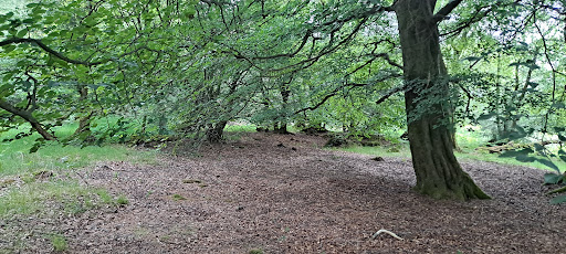 Barrwood Scout camp Gallery - United Kingdom