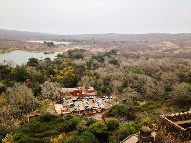 Ranthambore National Park