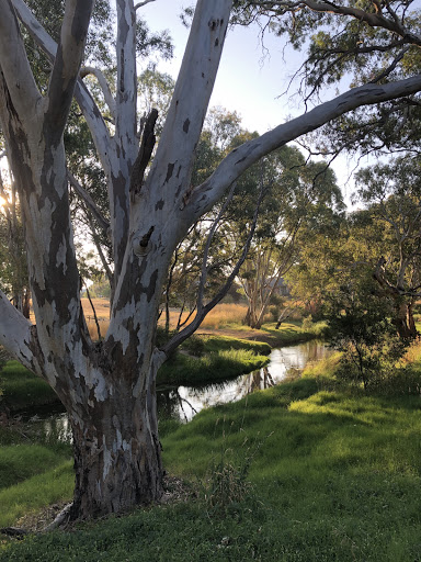 On The Creek - Thumbnail