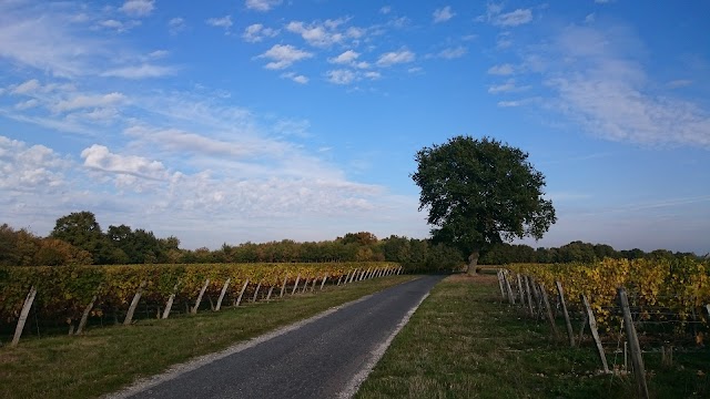 Domaine de la Taille aux Loups