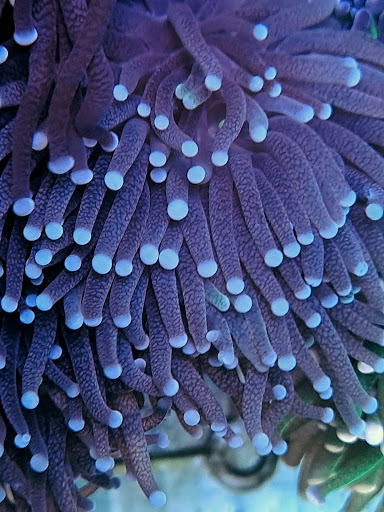 BBA Atlantis Ltd Gallery - United Kingdom