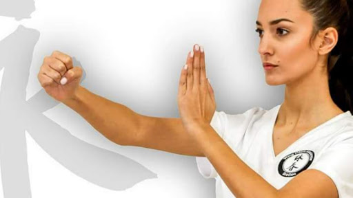 Wing Chun Akadenie Bretten - Bruchsal Logo
