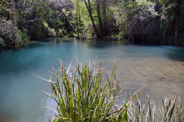 Gorg Moli dels Murris