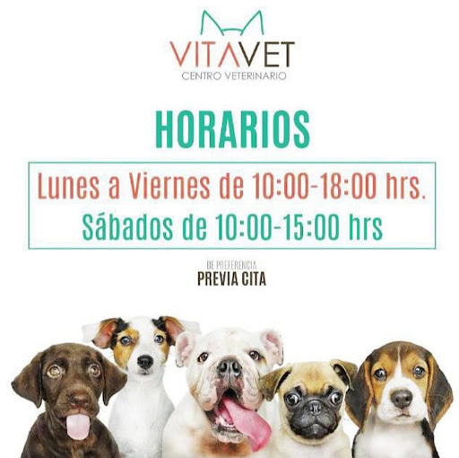 VITAVET Centro Veterinario
