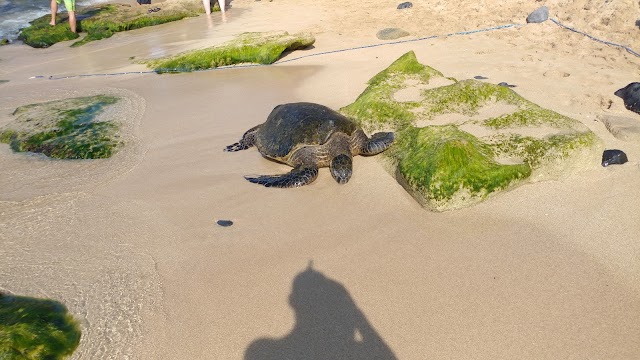 Ho'okipa Beach Park