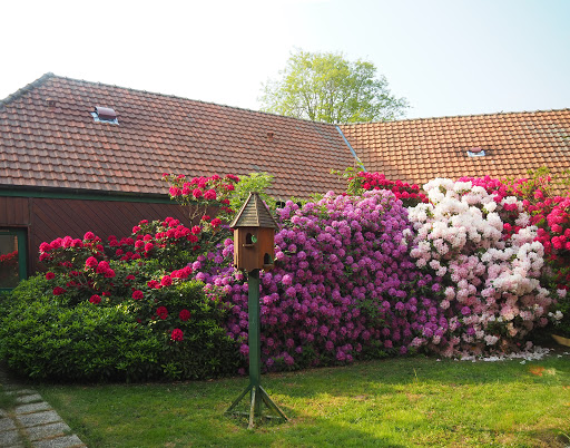 Photo de EHPAD Résidence Pays de Somme - UGECAM Hauts-de-France à Ault (80460)