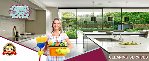 Will Cleaning - Visual