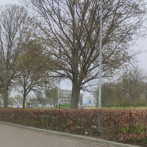 Zierikzee, Gemeentehuis - Thumbnail