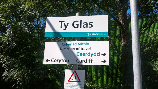 Ty Glas - Visual
