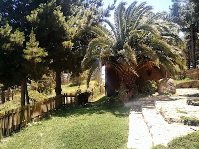Photos of Cabanas Buena Vista