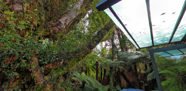 Franz Josef Glacier Hot Pools Open Times