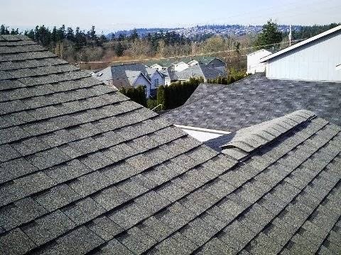 Pat Lopez Roofing