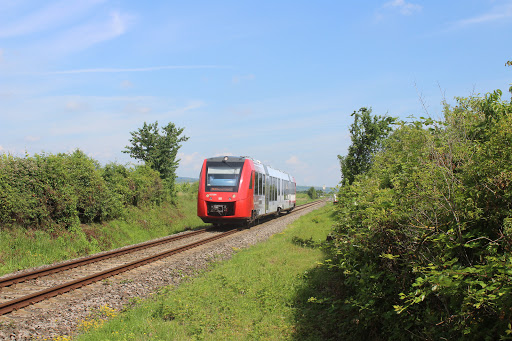 Wachenheim - Thumbnail
