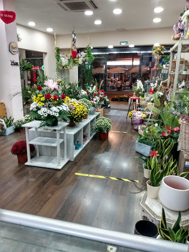Eli Floristería - Thumbnail