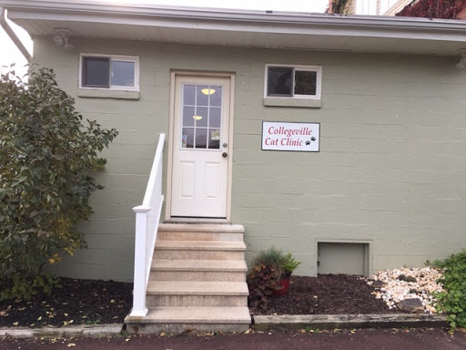 Collegeville Cat Clinic Gallery - United States