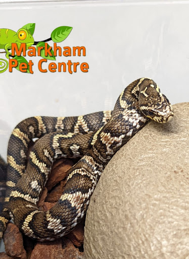 Markham Pet Centre - Visual