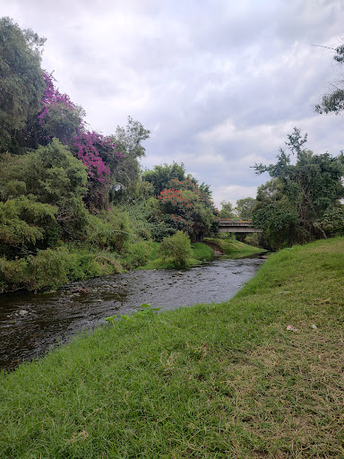Rio Yautepec - Visual
