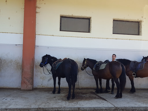 Agriturismo Angus - Thumbnail