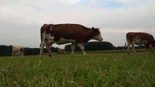 La Ferme Sainte Colombe