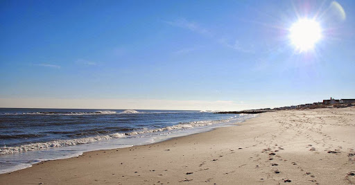Sand Dollar Real Estate - Thumbnail