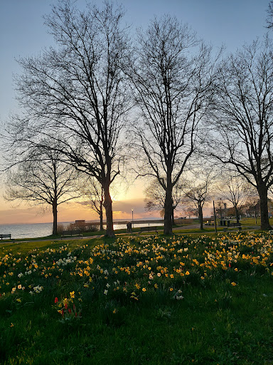 Parkplatz Uferpark - Thumbnail