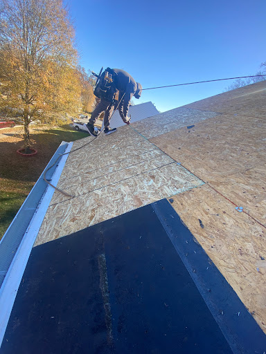 ROOF PROS VA
