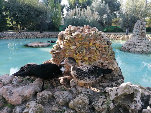 Parc Derramador - Thumbnail