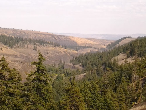 Shangri-La River Ranch Rv Park Gallery - United States
