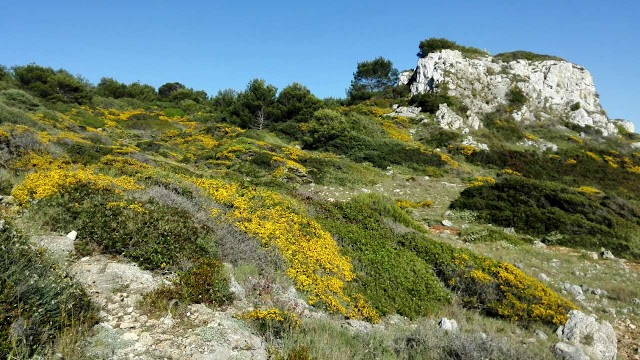 Porto Selvaggio Beach