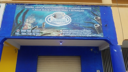 AQUARIUM'S SEA UNIVERSUM Gallery - Mexico