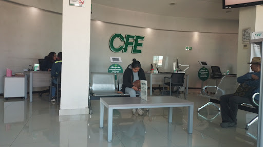 CFE CAC PROGRESO - Visual