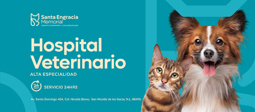 Hospital Veterinario Santa Engracia Memorial