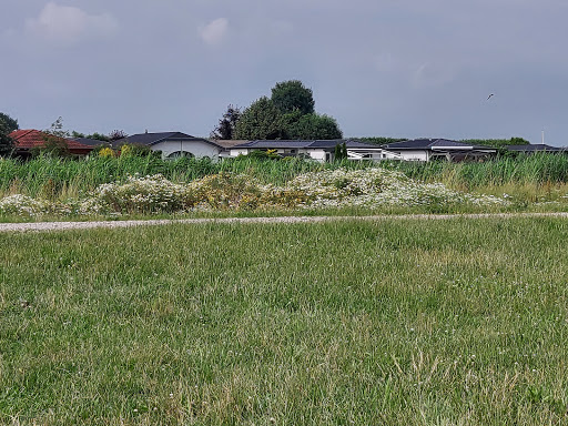 Recreatiepark De Lingebrug - Thumbnail