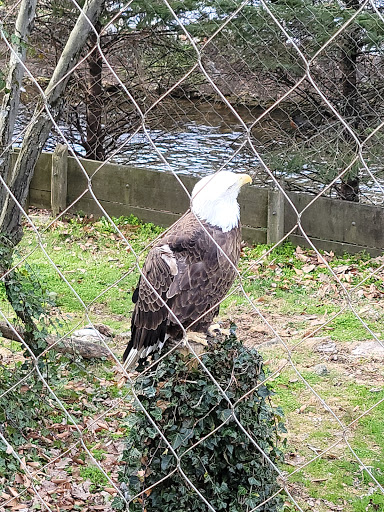 ZooAmerica - Visual